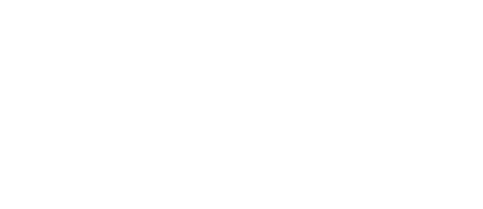 Redmins Law Firm Logo